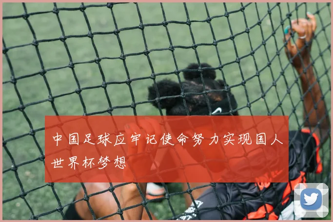 中国足球应牢记使命努力实现国人世界杯梦想
