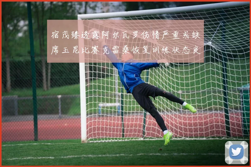 宿茂臻透露阿尔瓦罗伤情严重或缺席玉昆比赛克雷桑恢复训练状态良好