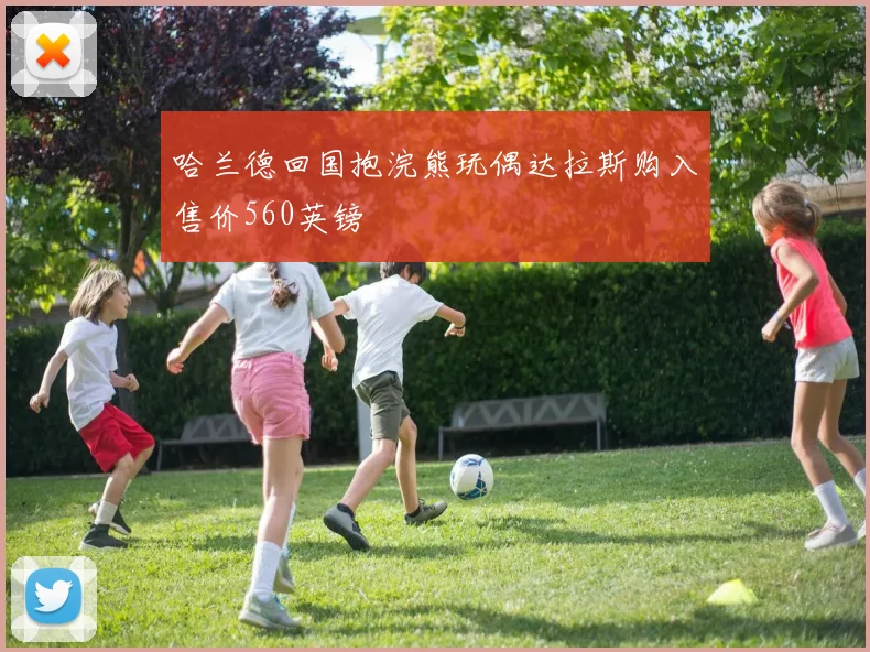哈兰德回国抱浣熊玩偶达拉斯购入售价560英镑